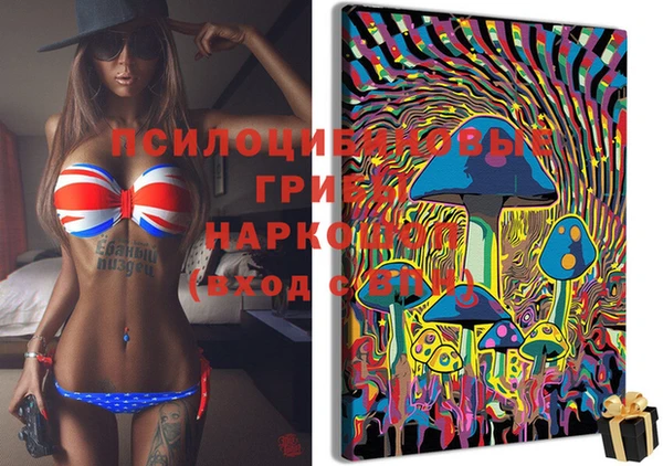 прущая мука Алзамай