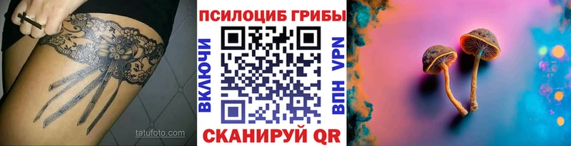 Купить где  Гороховец  Псилоцибиновые грибы Magic Shrooms 